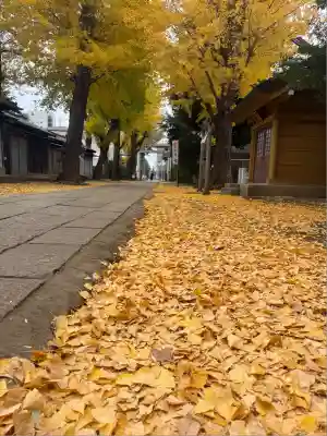駒込天祖神社(東京都)