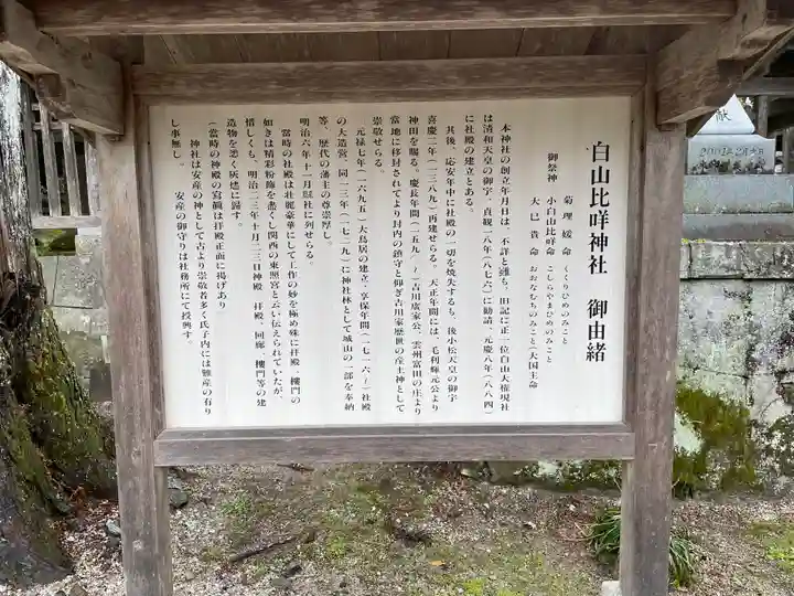 白山比咩神社(山口県)