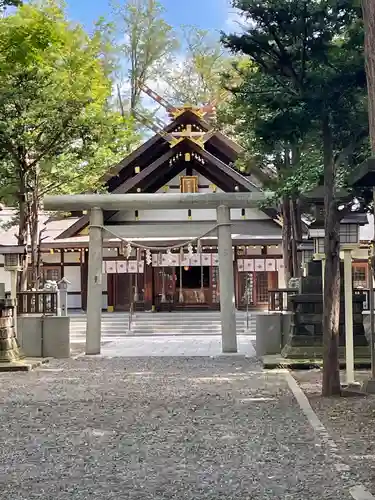新琴似神社の鳥居