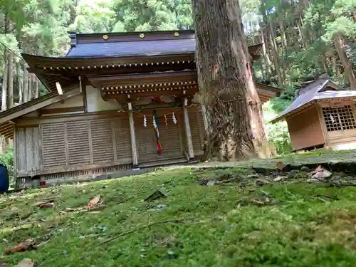 八乙女根尾神社の自然