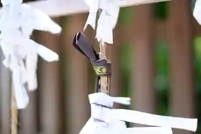 和泉國一之宮 大鳥大社のおみくじ