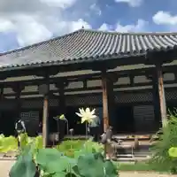 元興寺の本殿・本堂