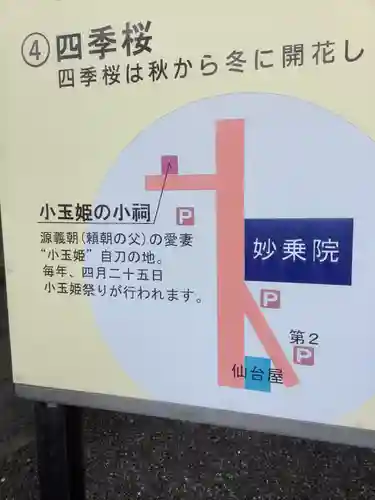 四季桜の寺 妙乗院のその他建物