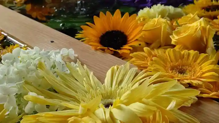 札幌諏訪神社の手水舎