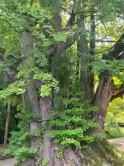 上日寺(富山県)