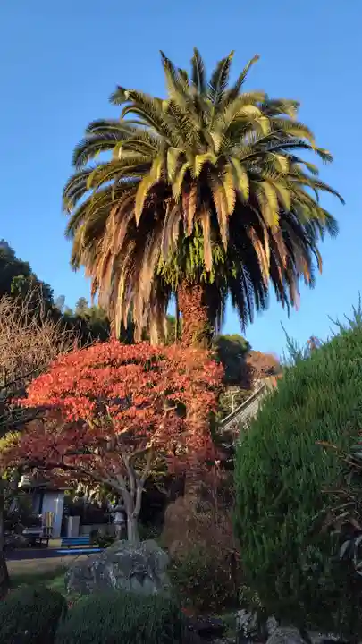 安立寺(静岡県)