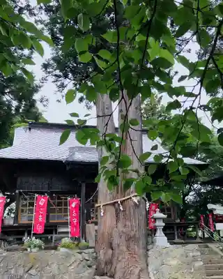 高司神社〜むすびの神の鎮まる社〜(福島県)