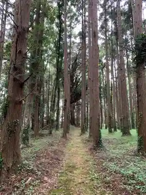 側鷹稲荷大明神(千葉県)