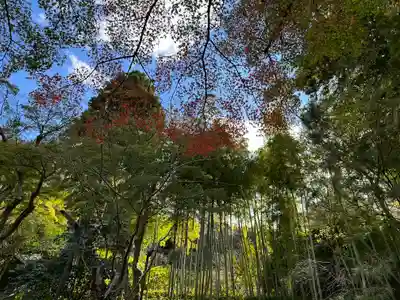 円覚寺(神奈川県)