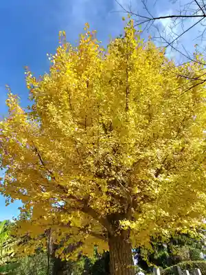 上合寺(福島県)