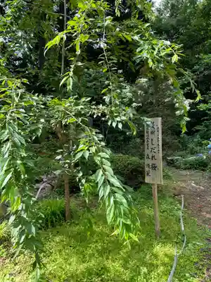 清水寺(長野県)