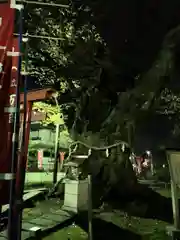 秩父今宮神社の建物その他