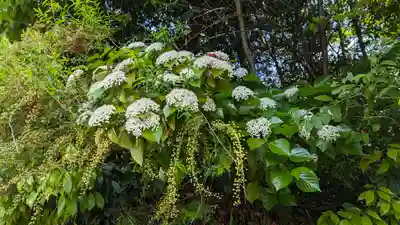 知恩院(京都府)