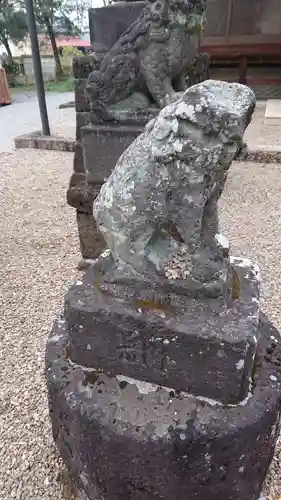 鷲宮神社の狛犬