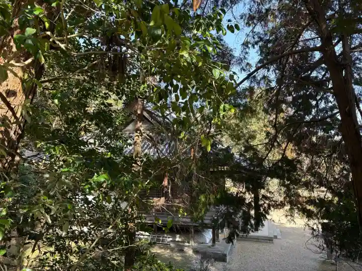 大御堂観音寺の{uncategorized: "未分類", other: "その他", undefined: "問題あり", building: "その他建物", grave: "お墓", sacred_gate: "鳥居", guardian: "狛犬", statue: "像", buddha: "仏像", history: "歴史", nature: "自然", garden: "庭園", animal: "動物", pagoda: "塔", temizu: "手水舎", mountain_gate: "山門・神門", sanctuary: "本殿・本堂", subordinate: "末社・摂社", art: "芸術", scenery: "景色", jizo: "地蔵", ema: "絵馬", goshuin: "御朱印", omikuji: "おみくじ", items: "授与品その他", amulet: "お守り", goshuincho: "御朱印帳", eats: "食事", festival: "お祭り", votive_dance: "神楽", shichigosan: "七五三参", wedding: "結婚式", experience: "体験その他", initially: "初詣", around: "周辺", anti_infection: "感染症対策"}