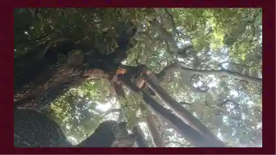 九重神社(埼玉県)