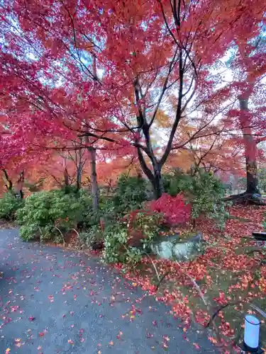 宝厳院(京都府)