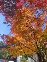 芦屋神社(兵庫県)