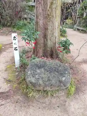 浄瑠璃寺(愛媛県)