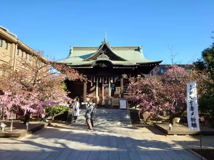 桜神宮(東京都)