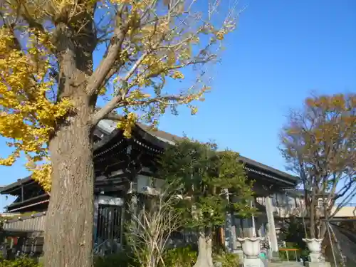 慈眼寺の本殿・本堂