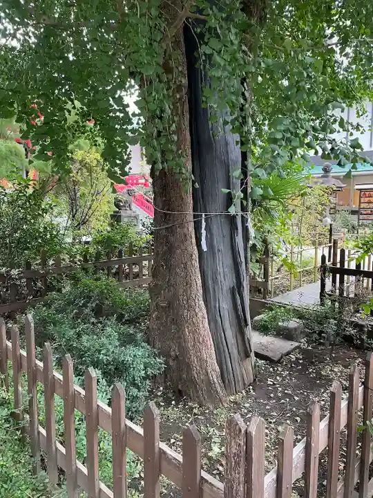 成子天神社(東京都)