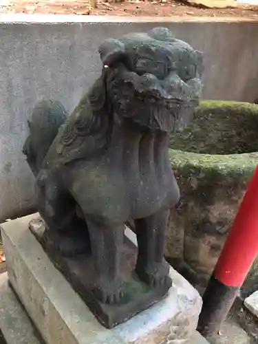 富岡八幡宮の狛犬