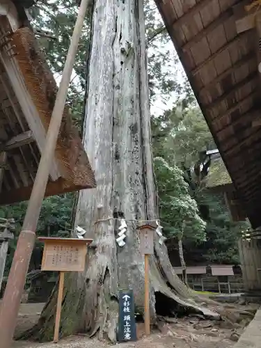 元伊勢内宮 皇大神社(京都府)