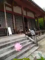 西大寺四王堂(奈良県)