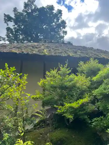 鹿苑寺（金閣寺）(京都府)