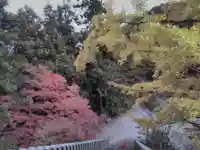 松尾山神社の自然