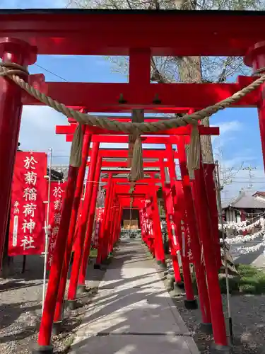 於菊稲荷神社(群馬県)