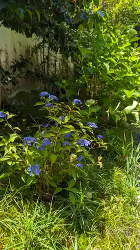 尊陽院(京都府)