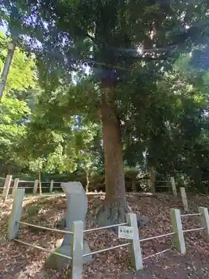 無量光寺(神奈川県)