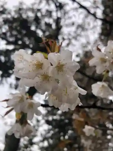 龍田大社の自然