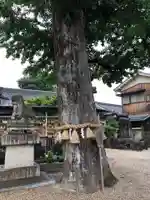 市杵島姫神社のその他建物