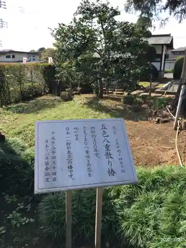 保井寺(東京都)