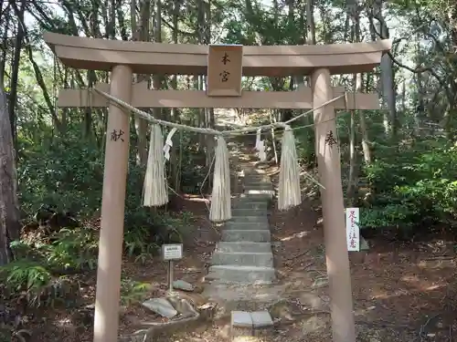 石上布都魂神社の鳥居