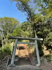 金砂神社の鳥居