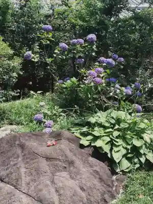 大安寺の{uncategorized: "未分類", other: "その他", undefined: "問題あり", building: "その他建物", grave: "お墓", sacred_gate: "鳥居", guardian: "狛犬", statue: "像", buddha: "仏像", history: "歴史", nature: "自然", garden: "庭園", animal: "動物", pagoda: "塔", temizu: "手水舎", mountain_gate: "山門・神門", sanctuary: "本殿・本堂", subordinate: "末社・摂社", art: "芸術", scenery: "景色", jizo: "地蔵", ema: "絵馬", goshuin: "御朱印", omikuji: "おみくじ", items: "授与品その他", amulet: "お守り", goshuincho: "御朱印帳", eats: "食事", festival: "お祭り", votive_dance: "神楽", shichigosan: "七五三参", wedding: "結婚式", experience: "体験その他", initially: "初詣", around: "周辺", anti_infection: "感染症対策"}