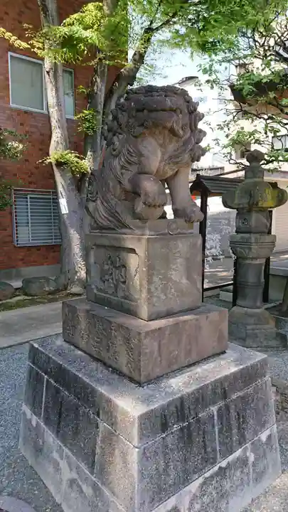 穏田神社の狛犬