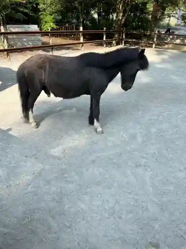丹生川上神社（下社）(奈良県)