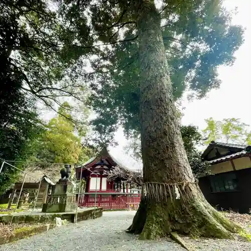 大己貴神社(福岡県)