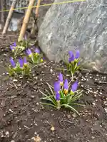 宝壽山 吉祥院の自然