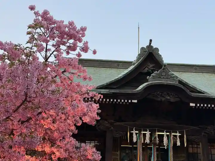 桜神宮の{uncategorized: "未分類", other: "その他", undefined: "問題あり", building: "その他建物", grave: "お墓", sacred_gate: "鳥居", guardian: "狛犬", statue: "像", buddha: "仏像", history: "歴史", nature: "自然", garden: "庭園", animal: "動物", pagoda: "塔", temizu: "手水舎", mountain_gate: "山門・神門", sanctuary: "本殿・本堂", subordinate: "末社・摂社", art: "芸術", scenery: "景色", jizo: "地蔵", ema: "絵馬", goshuin: "御朱印", omikuji: "おみくじ", items: "授与品その他", amulet: "お守り", goshuincho: "御朱印帳", eats: "食事", festival: "お祭り", votive_dance: "神楽", shichigosan: "七五三参", wedding: "結婚式", experience: "体験その他", initially: "初詣", around: "周辺", anti_infection: "感染症対策"}