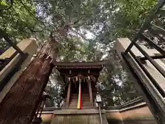 森神社(奈良県)