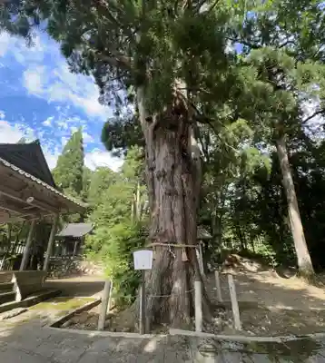 加茂神社(福井県)