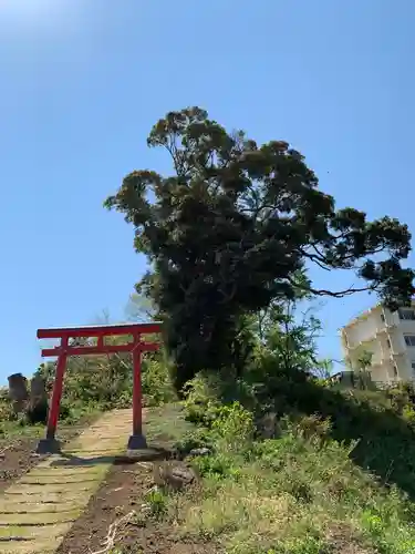 三峯神社の鳥居