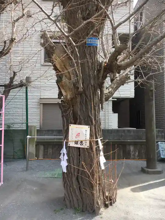 女躰大神の自然