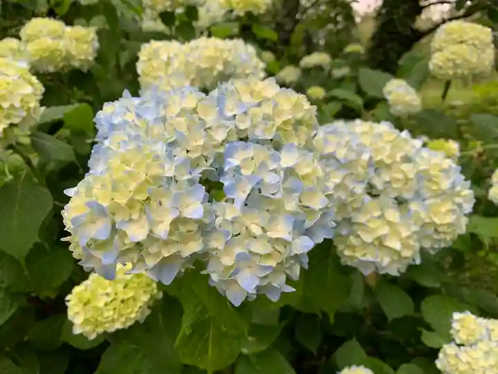 那須愛宕山鎮座 高久神社の自然